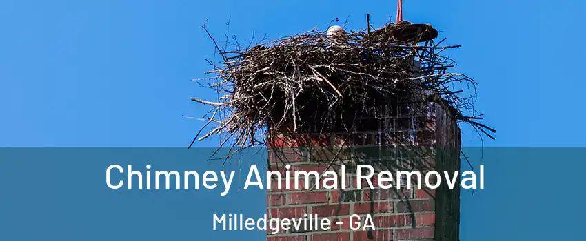 Chimney Animal Removal Milledgeville - GA